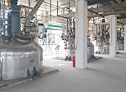 关于美狮贵宾会